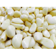 New Crop Exporting Good Quality Peeled Garlic